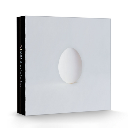 A Ghost Is Born: 20th Anniversary (PRE-ORDER / DLX BOXSET) |   Retro Vinyl Club