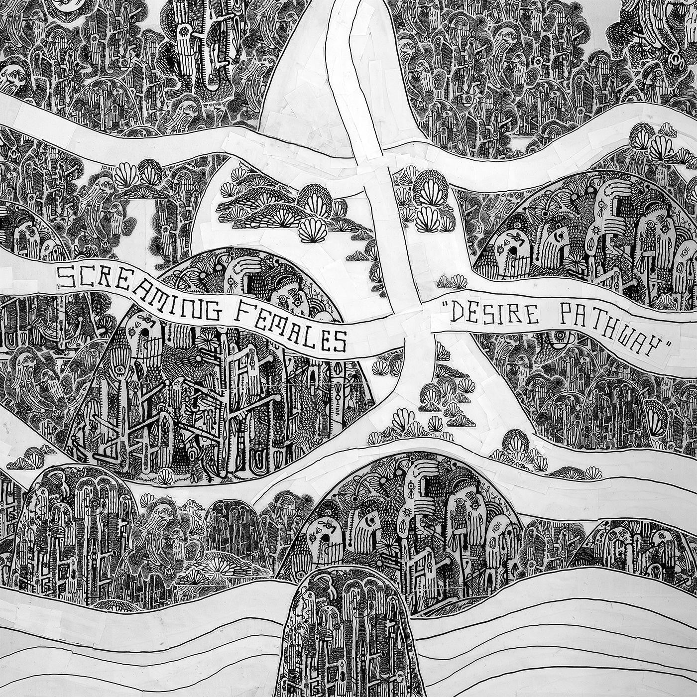 Desire Pathway |   Retro Vinyl Club