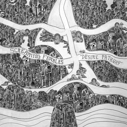 Desire Pathway |   Retro Vinyl Club