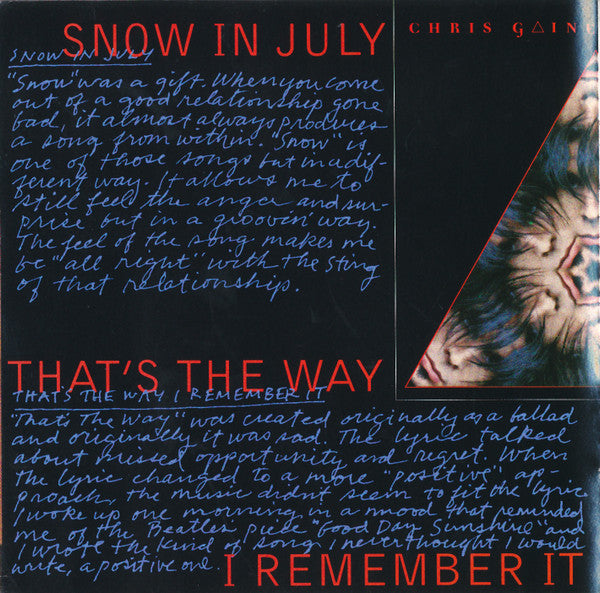 Greatest Hits / Garth Brooks In... The Life Of Chris Gaines (CD) |   Retro Vinyl Club