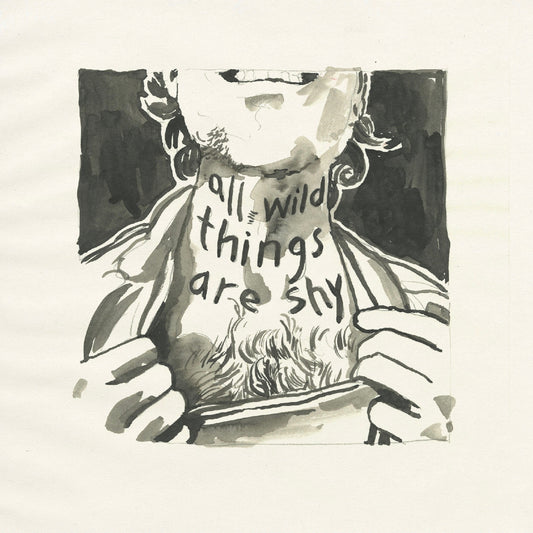 All Wild Things Are Shy *CD* |   Retro Vinyl Club