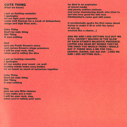 Twin Fantasy (CD) |   Retro Vinyl Club