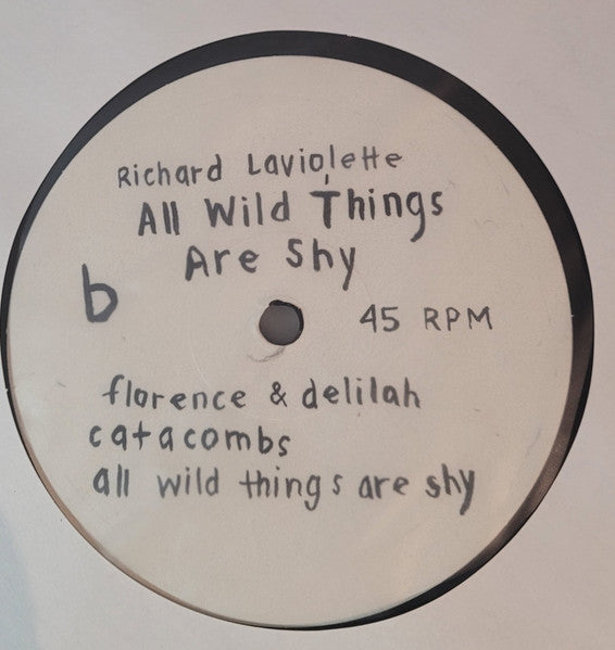 All Wild Things Are Shy |   Retro Vinyl Club