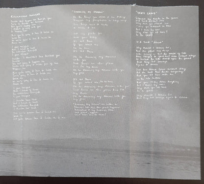 No Need To Argue *CASSETTE* | Near Mint (NM) Excellent (EX) Retro Vinyl Club