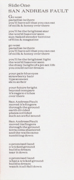 Tigerlily *CASSETTE* | Near Mint (NM) Near Mint (NM) Retro Vinyl Club