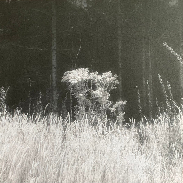 A Journey... |   Retro Vinyl Club