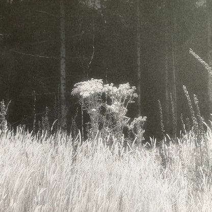 A Journey... |   Retro Vinyl Club