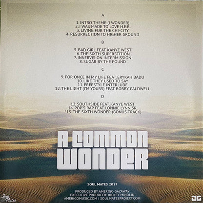 A Common Wonder |   Retro Vinyl Club