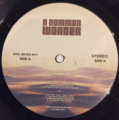 A Common Wonder |   Retro Vinyl Club