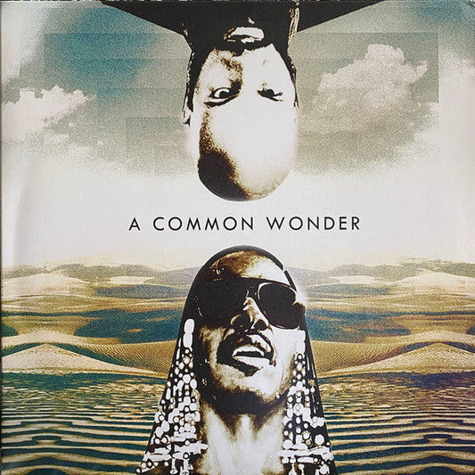 A Common Wonder |   Retro Vinyl Club