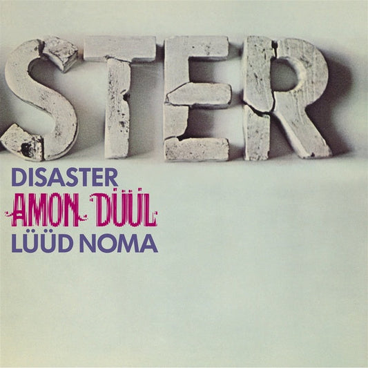 Disaster (Luud Noma) | Retro Vinyl Club