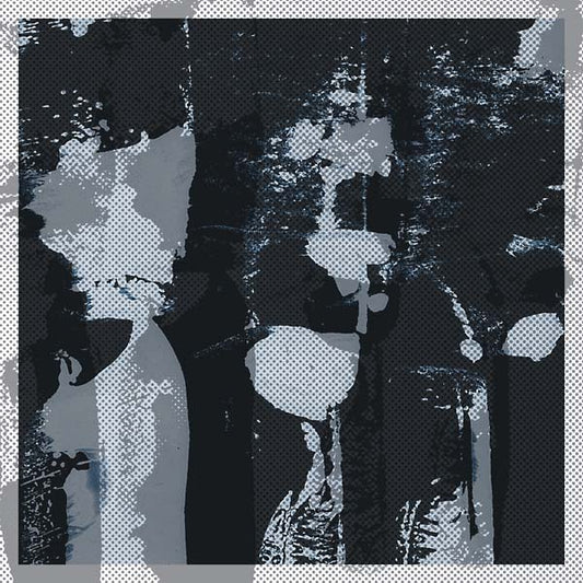 Cosmic Microwave Background | Retro Vinyl Club