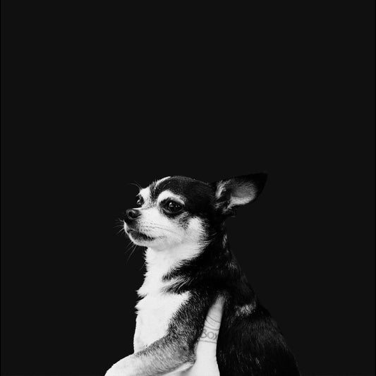 When This Life Is Over | Retro Vinyl Club