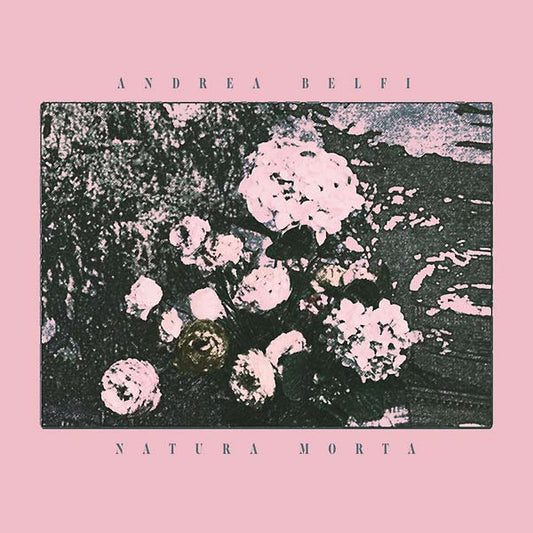 Natura Morta | Retro Vinyl Club