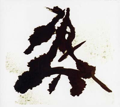 Einzelkämpfer (Lone Warrior) | Retro Vinyl Club