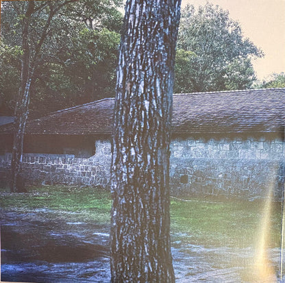 Age Of Apathy |   Retro Vinyl Club