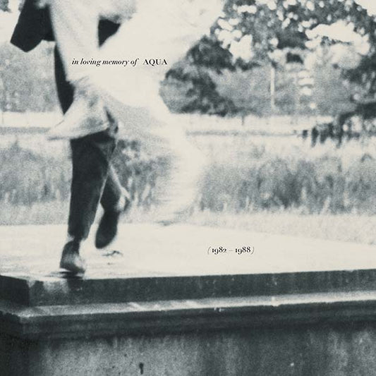 In Loving Memory of Aqua (1982-1988) | Retro Vinyl Club