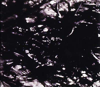 Presences Of Absences | Retro Vinyl Club