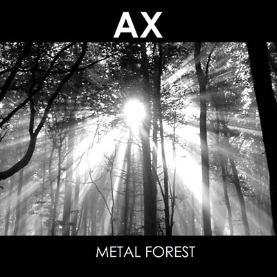 Metal Forest | Retro Vinyl Club