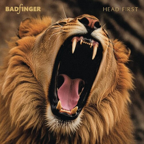 Head First: 50th Anniversary Special Edition [Import] | Retro Vinyl Club