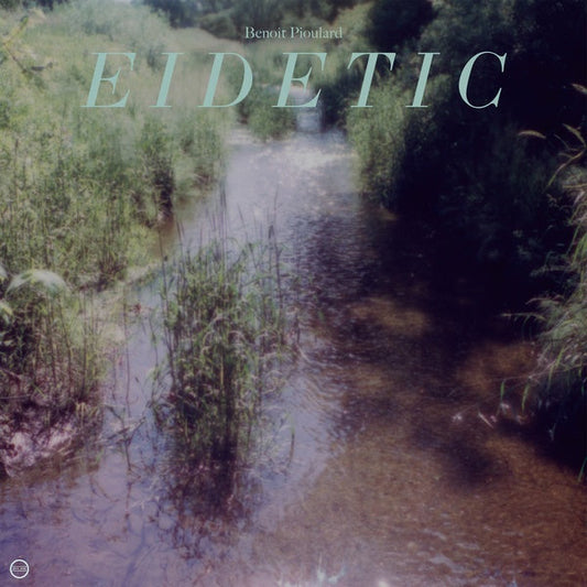 Eidetic | Retro Vinyl Club