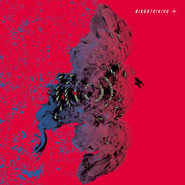 Birdstriking | Retro Vinyl Club