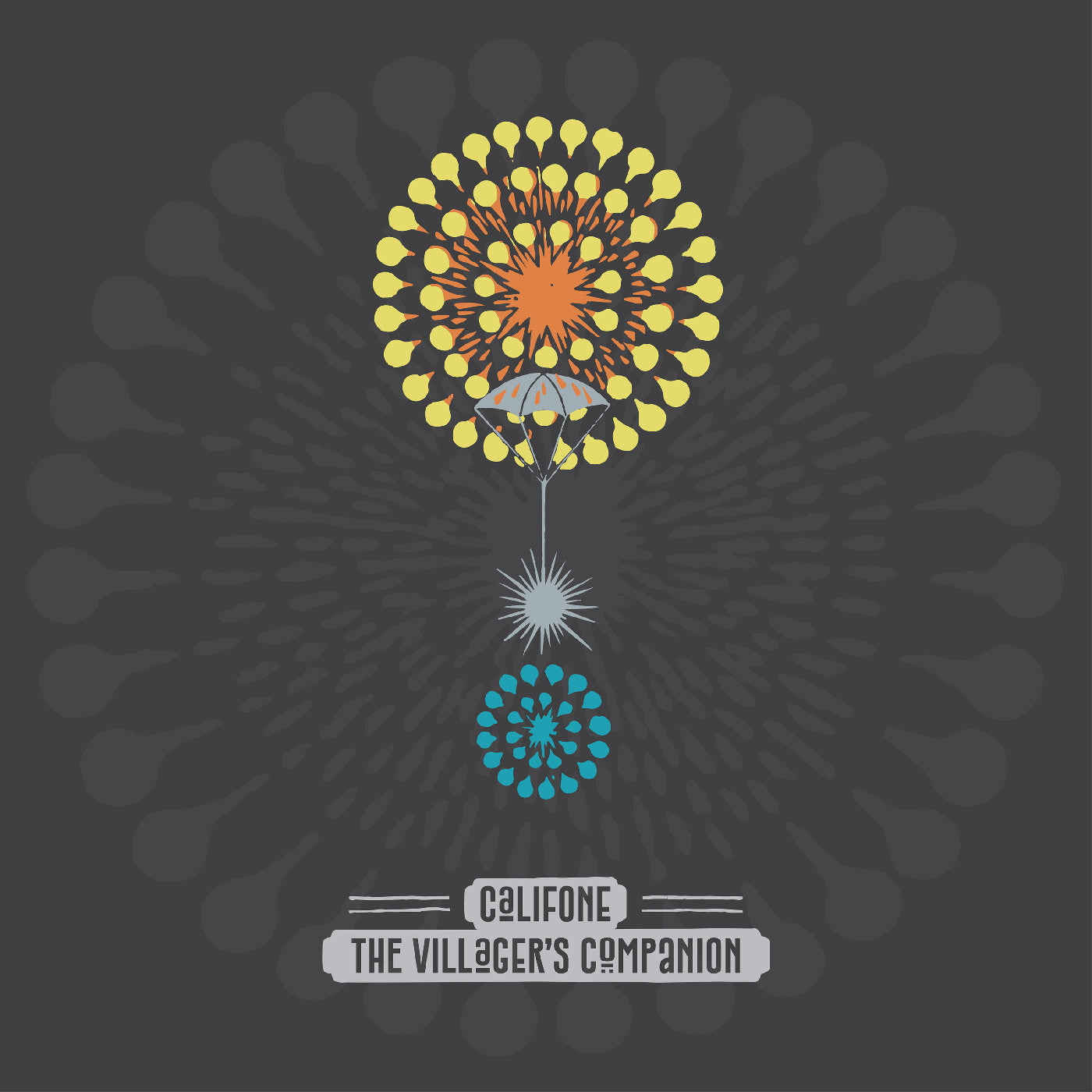 The Villager'S Companion | Retro Vinyl Club