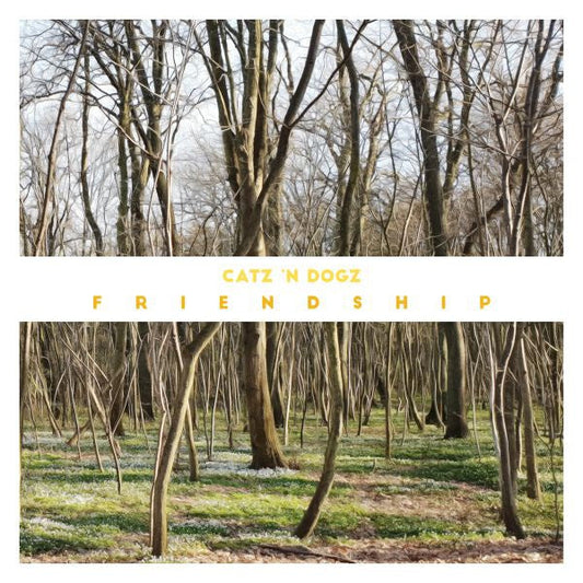 Friendship | Retro Vinyl Club