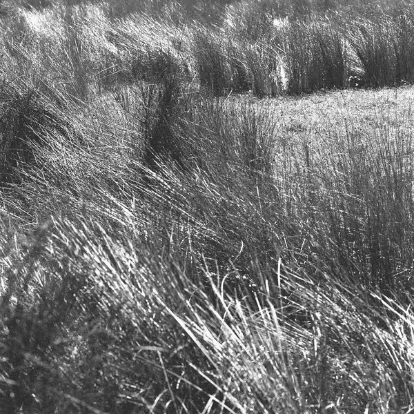 Thrown (15th Anniversary Edition) | Retro Vinyl Club