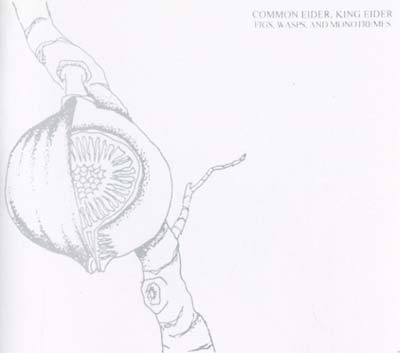 Figs, Wasps, And Monotremes | Retro Vinyl Club