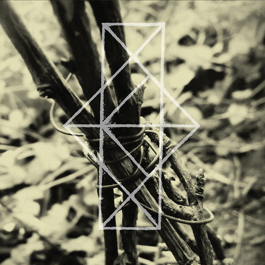 Shrines For The Unwanted, Respite For The Cast Aside | Retro Vinyl Club