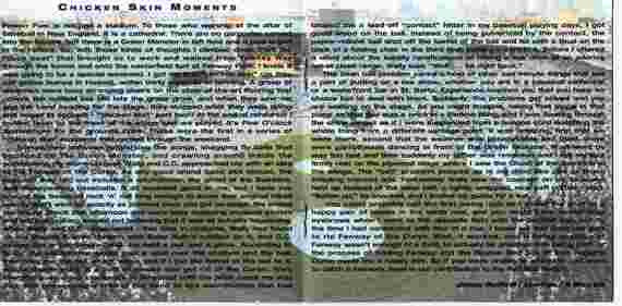 Live At Fenway Park (3xCD) | Very Good Plus (VG+) Excellent (EX) Retro Vinyl Club