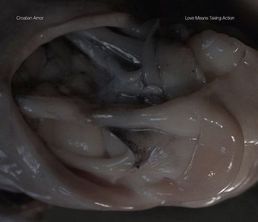 Love Means Taking Action | Retro Vinyl Club