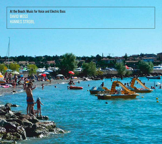 At the Beach: Music for Voice and Electric Bass | Retro Vinyl Club