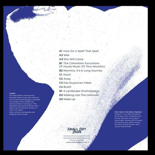 A Landscape Onomatopeya (2xVINYL) |   Retro Vinyl Club