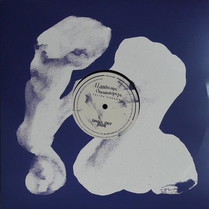 A Landscape Onomatopeya (2xVINYL) |   Retro Vinyl Club