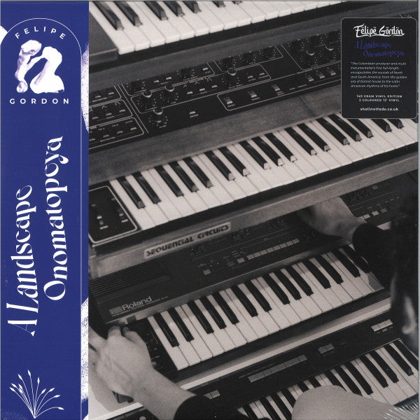 A Landscape Onomatopeya (2xVINYL) |   Retro Vinyl Club