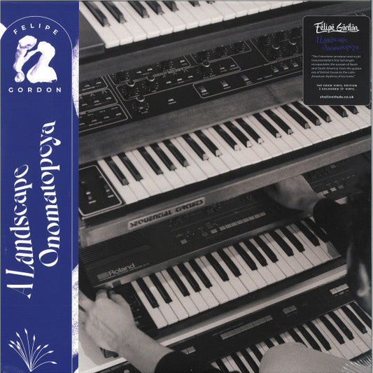 A Landscape Onomatopeya (2xVINYL) |   Retro Vinyl Club