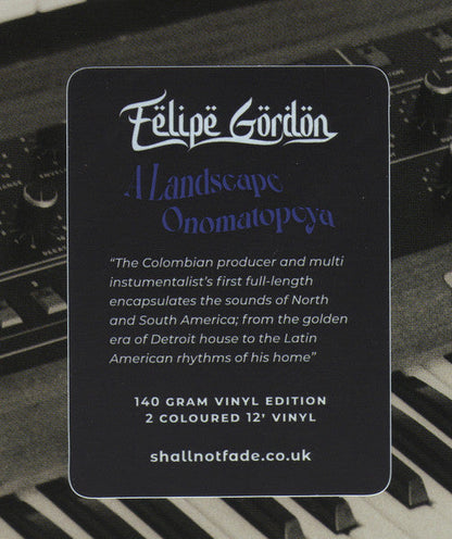 A Landscape Onomatopeya (2xVINYL) |   Retro Vinyl Club