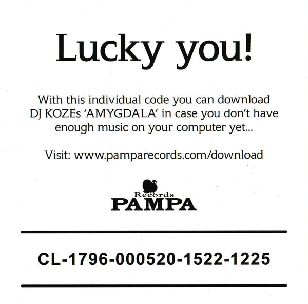 Amygdala |   Retro Vinyl Club