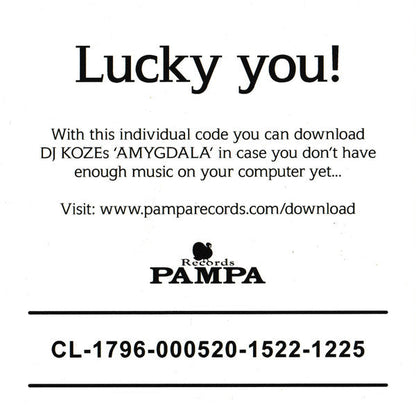 Amygdala |   Retro Vinyl Club