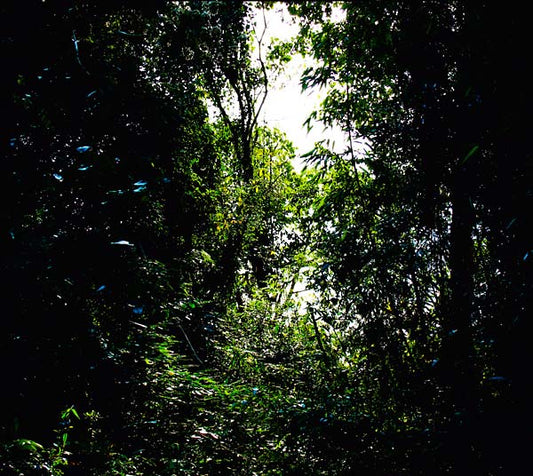 Tempatempat | Retro Vinyl Club