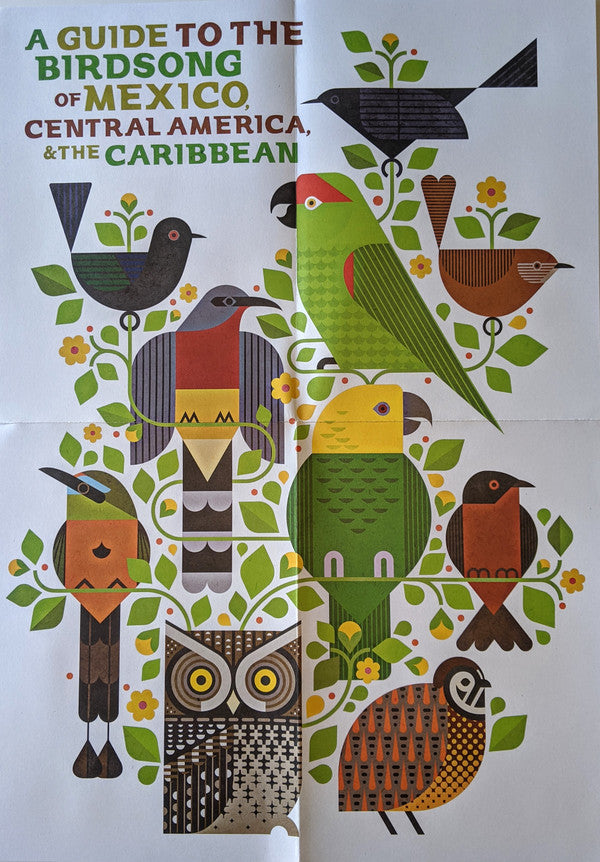 A Guide To The Birdsong Of Mexico, Central America, & The Caribbean |   Retro Vinyl Club
