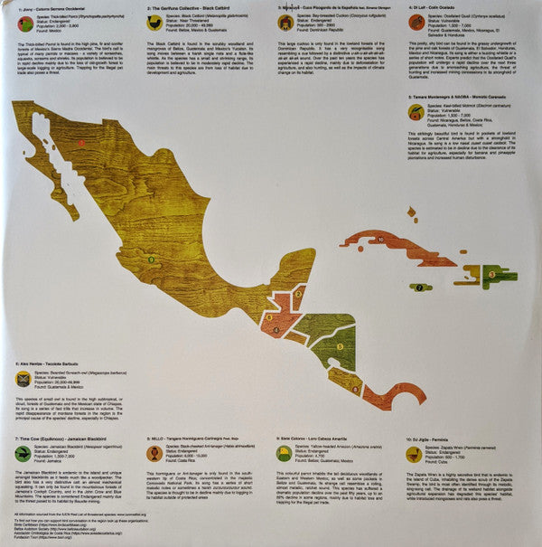 A Guide To The Birdsong Of Mexico, Central America, & The Caribbean |   Retro Vinyl Club