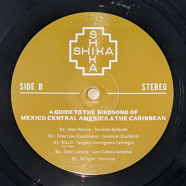 A Guide To The Birdsong Of Mexico, Central America, & The Caribbean |   Retro Vinyl Club