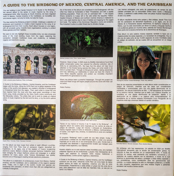 A Guide To The Birdsong Of Mexico, Central America, & The Caribbean |   Retro Vinyl Club