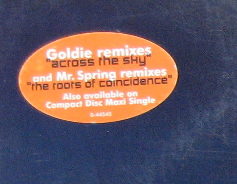 Across The Sky / The Roots Of Coincidence (GOLDIE) | Excellent+ (EX+) Excellent (EX) Retro Vinyl Club