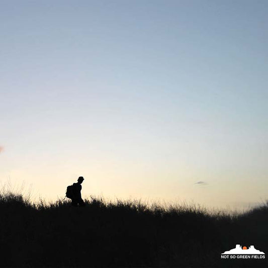 Not So Green Fields | Retro Vinyl Club