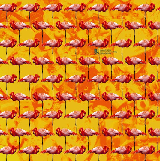 Dreamings & Offshore Drilling - Pearls And Turtles | Retro Vinyl Club