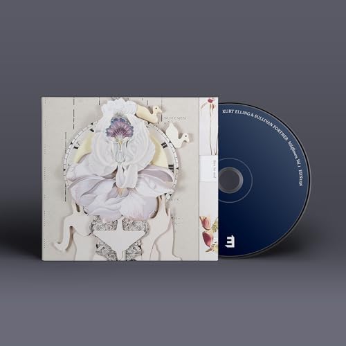 Wildflowers Vol.1 | Retro Vinyl Club